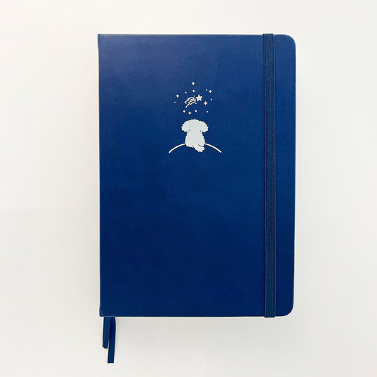 'Make a wish' bullet journal